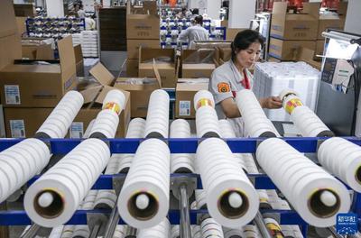 高質量發(fā)展調研行|重慶 智能制造推動產業(yè)升級